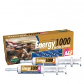 Energy 1000 A&B